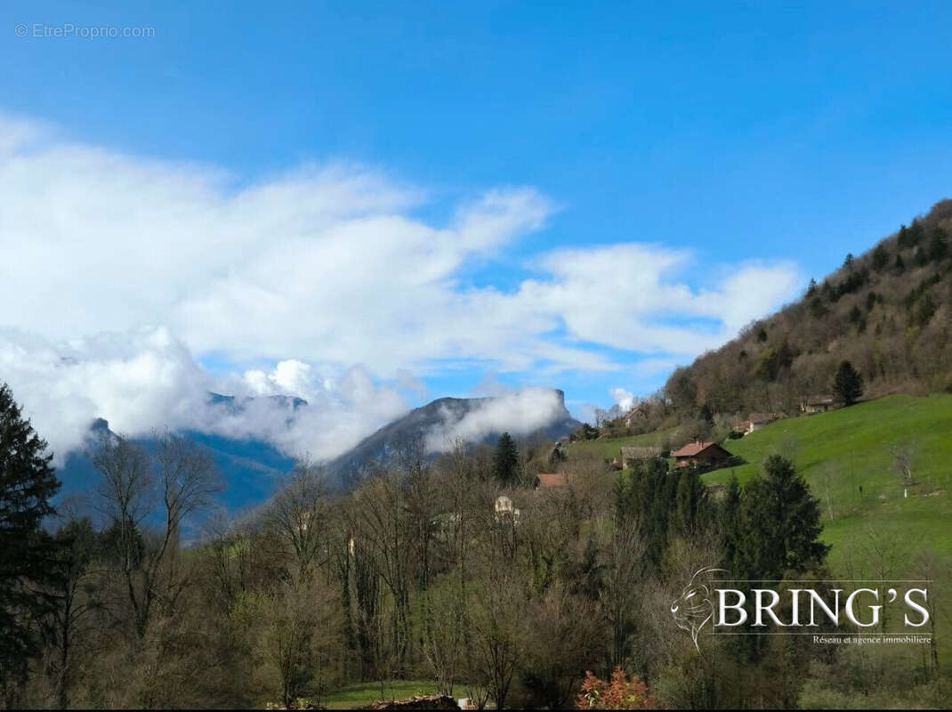 Terrain à POMMIERS-LA-PLACETTE