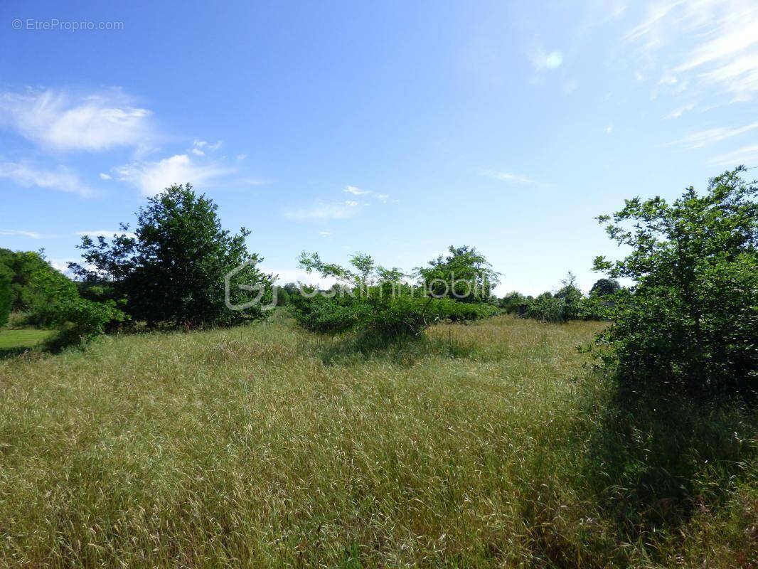 Terrain à SAINT-JEAN-DE-MARSACQ