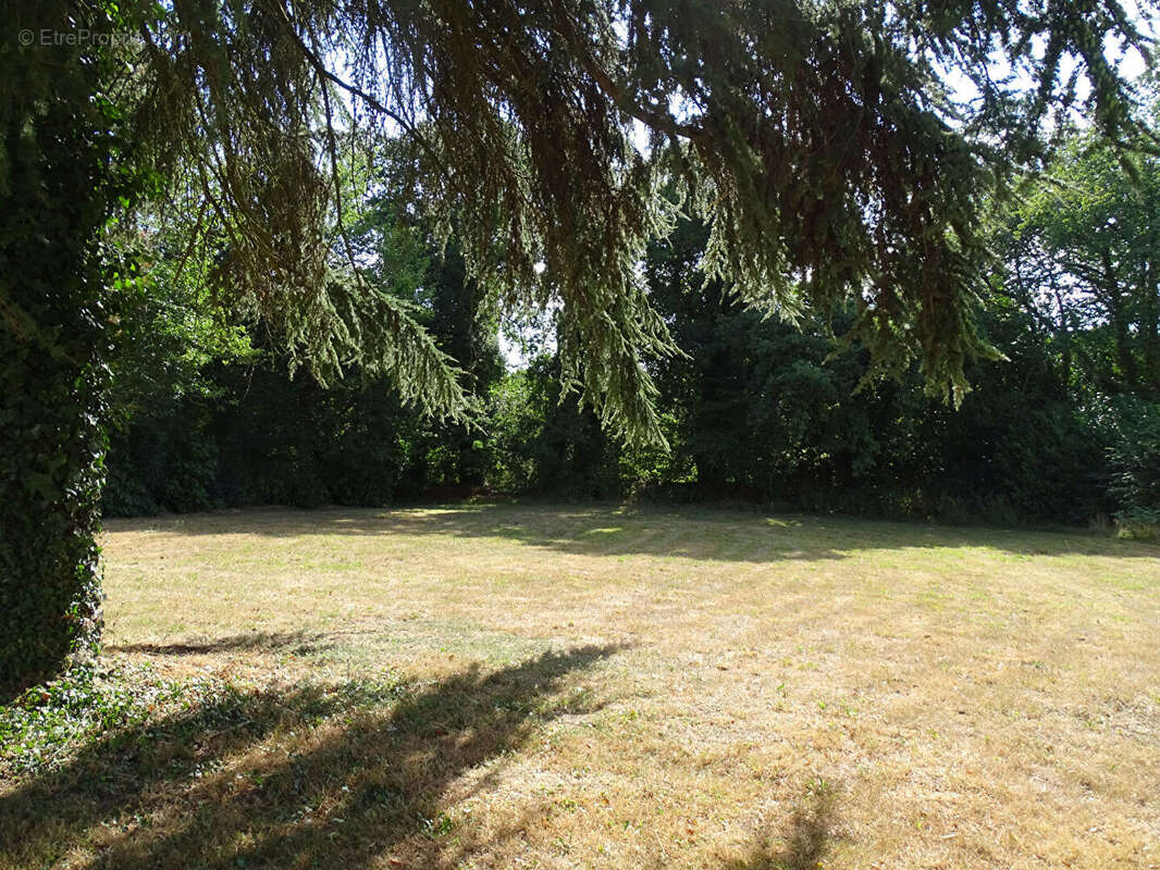 CÔTES-D'ARMOR.  Superbe demeure bretonne en pierre de 6 chambres avec 3 070 m² de jardin arboré au coeur de Locarn - photo 17