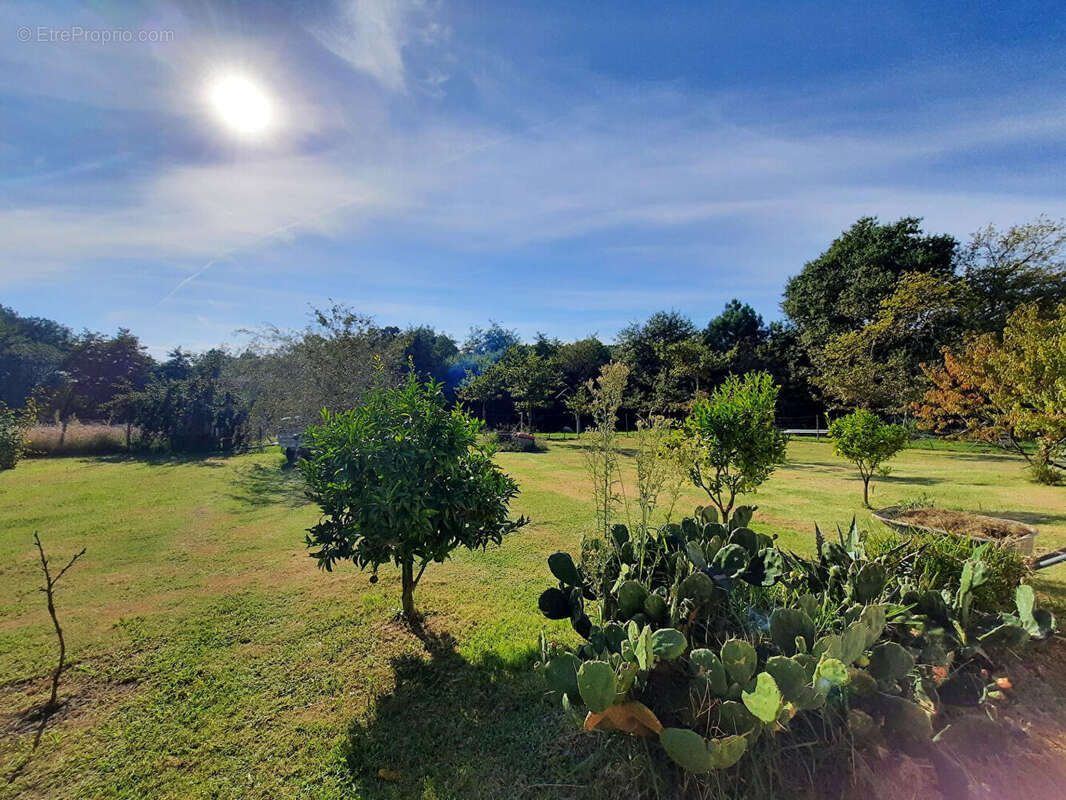 Maison à SAINT-VINCENT-DE-TYROSSE