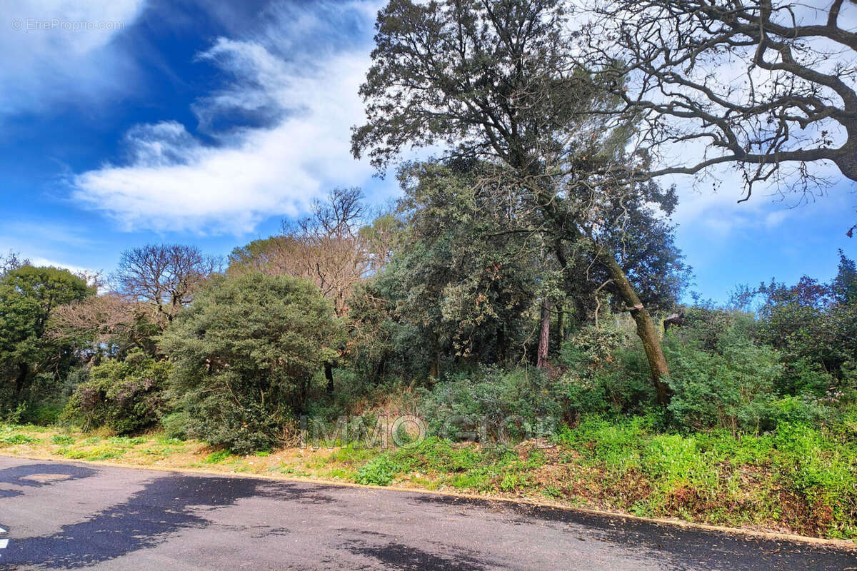 Terrain à VILLENEUVE-LES-AVIGNON