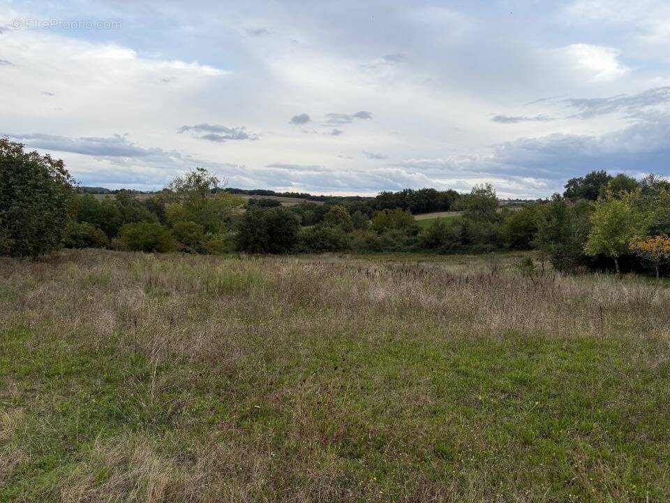 Terrain à ROQUESERIERE