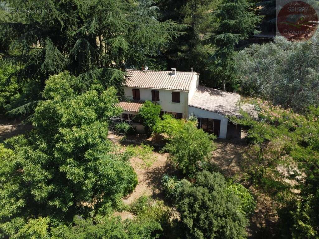 Grande Villa - photo 2