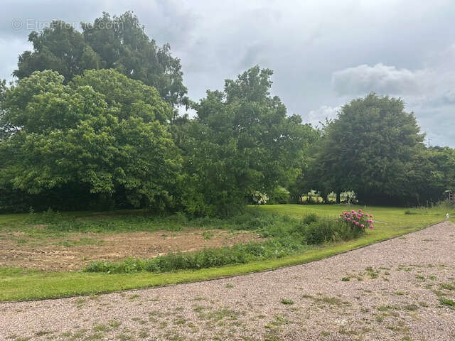 Maison à NEUFCHATEL-EN-BRAY