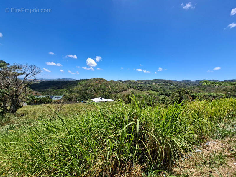 Terrain à RIVIERE-SALEE