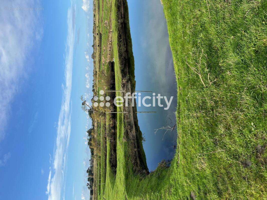 Terrain à L&#039;ILE-D&#039;OLONNE