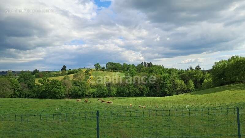 Maison à CASSANIOUZE