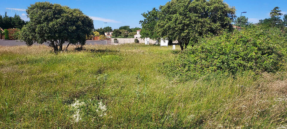 Terrain à VELLERON