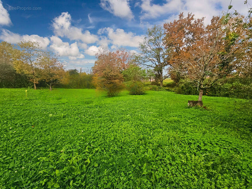 Terrain à SAINT-SEVER