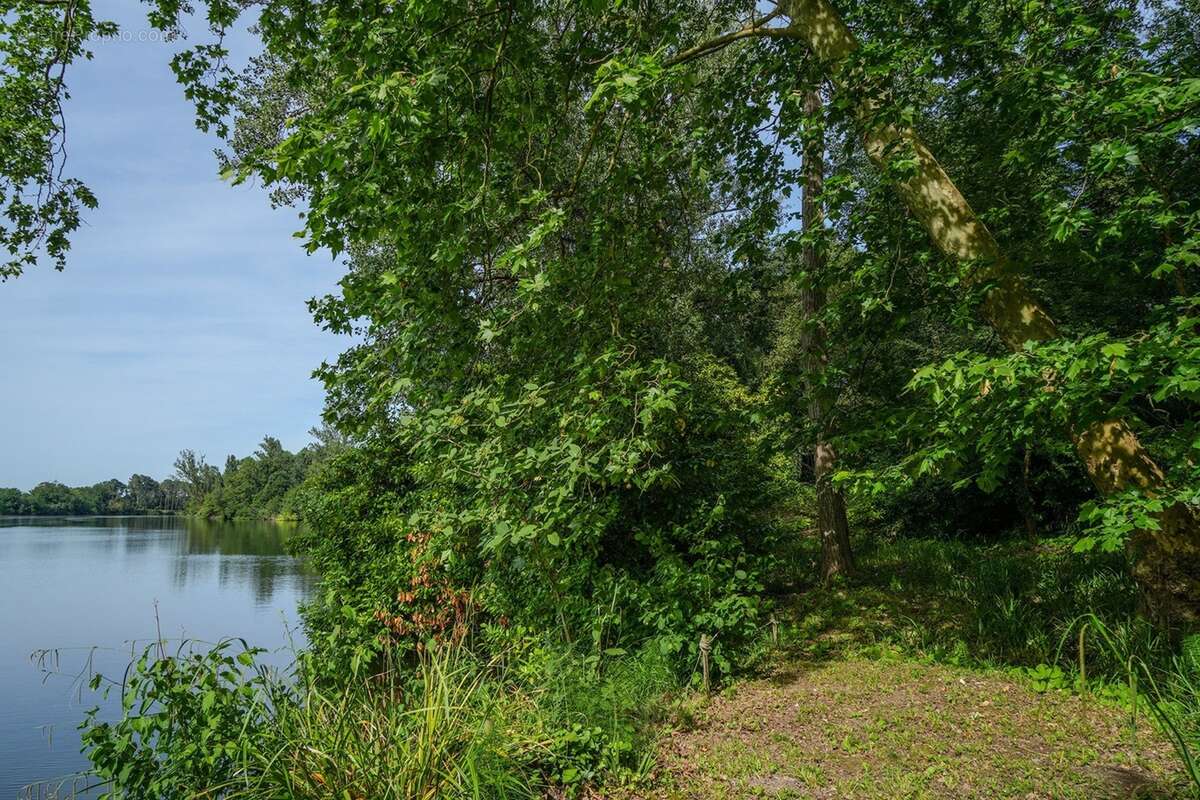 Propriete à vendre 14 pièces SAINTE LIVRADE SUR LOT (47)Sainte-Livrade-sur-Lot – Propriété de caractère à projets multiples en b - photo 31