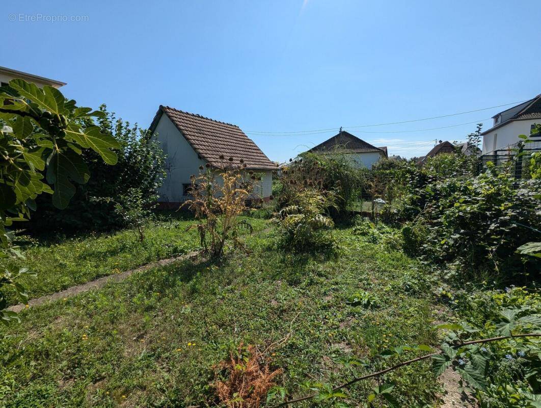 Terrain à ENTZHEIM