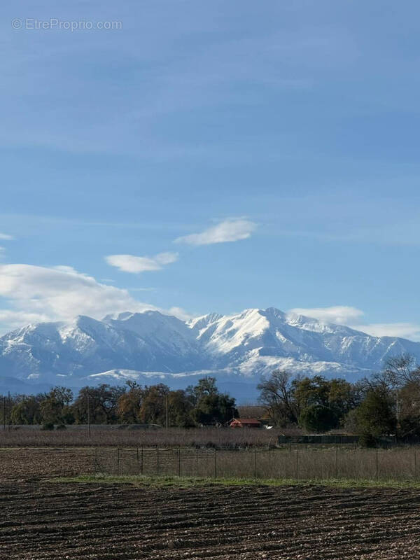 Terrain à PERPIGNAN