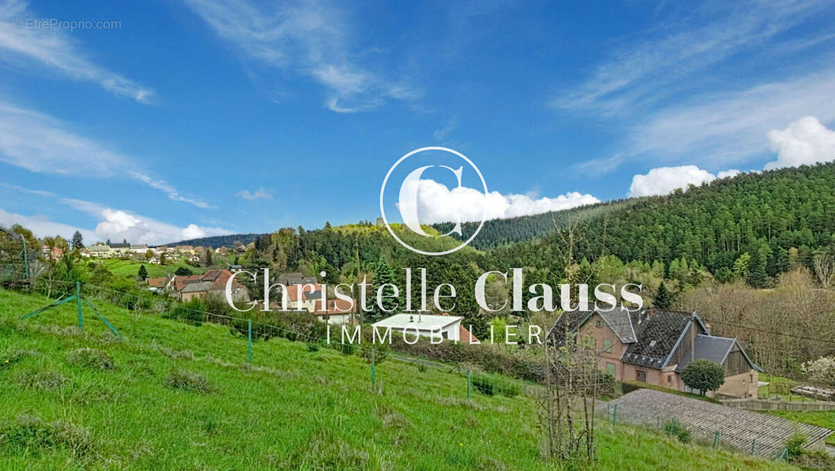 Terrain à WANGENBOURG-ENGENTHAL