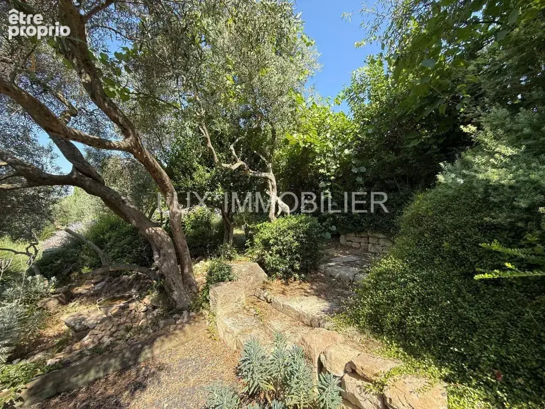 Paradou - au cœur des alpilles - photo 30