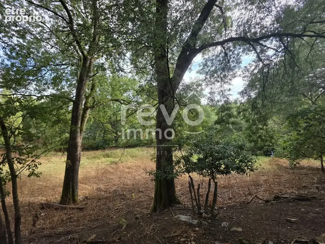 Saint-julien-de-vouvantes (44670)  ancien presbytère en pierres  191 m²  terrain 4 008 m² - photo 14