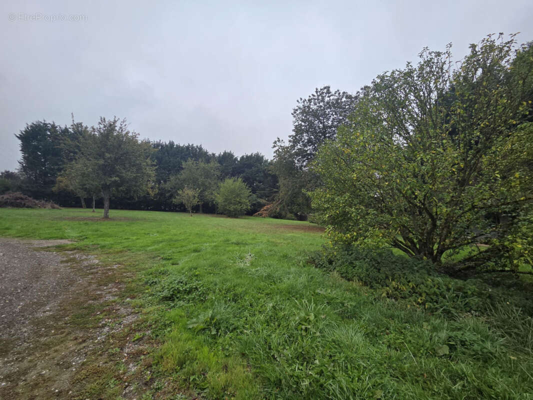 Maison à GRAND-CAMP