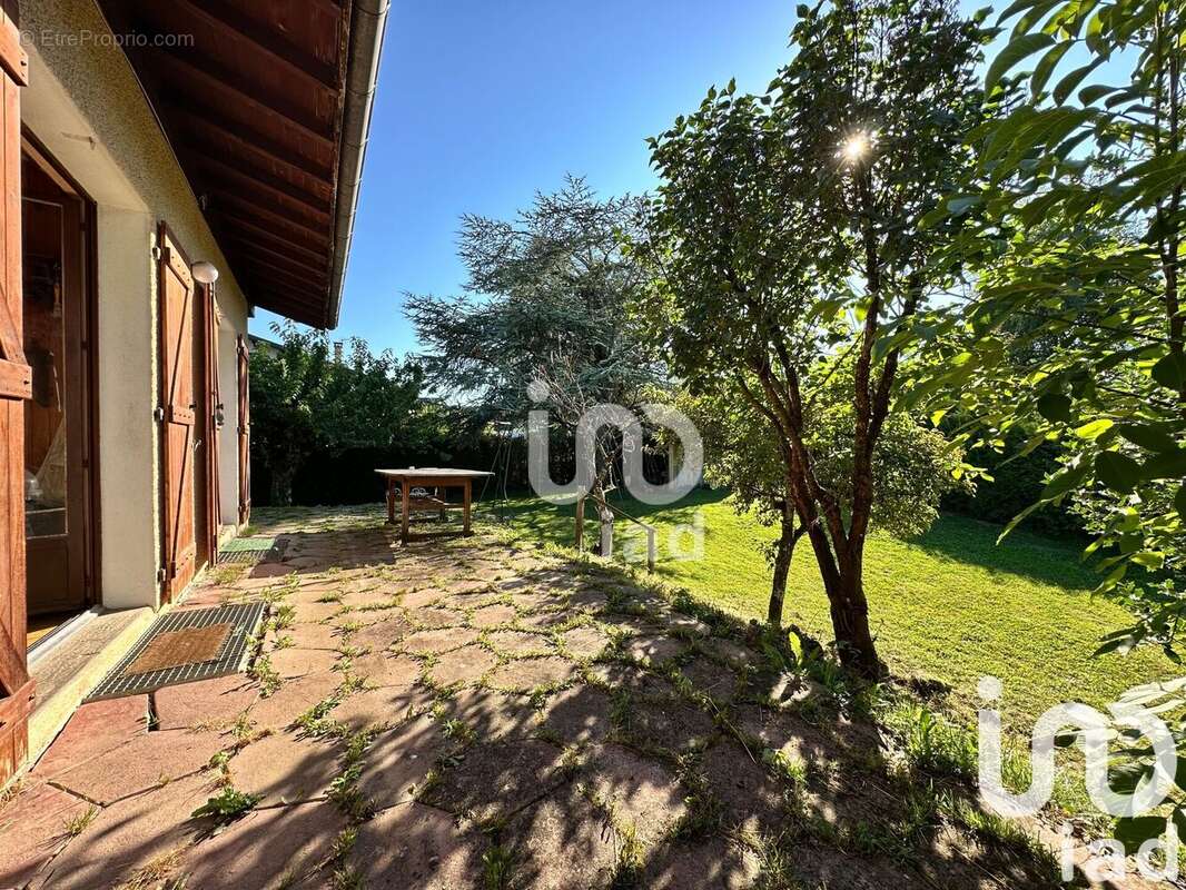 Photo 5 - Maison à QUINTAL