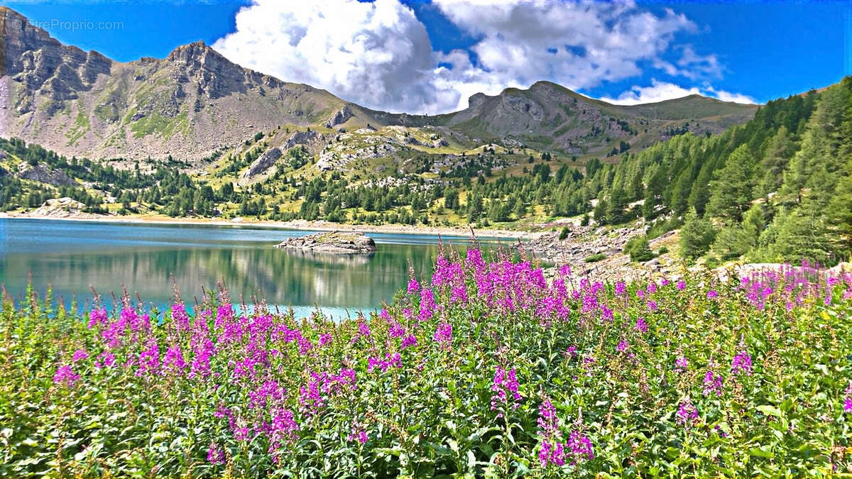 Appartement à ALLOS