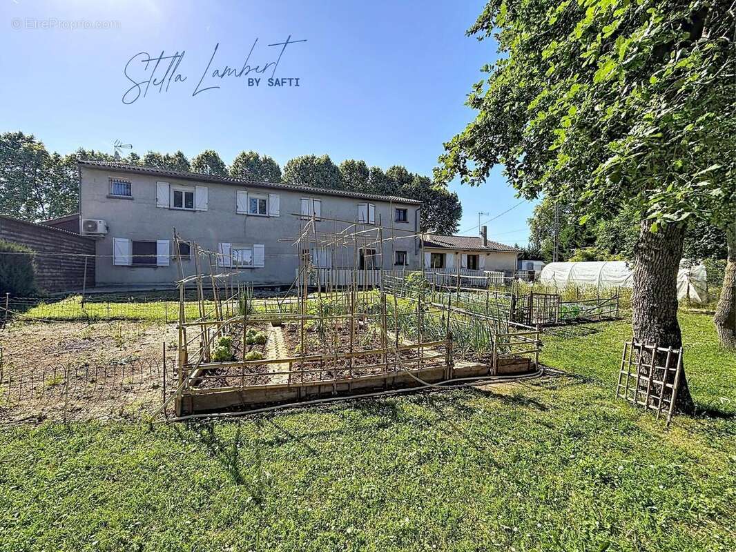 Photo 7 - Appartement à VILLEMUR-SUR-TARN