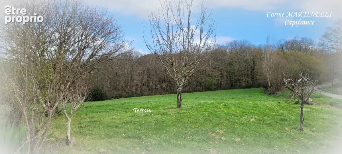 Ensemble de 2 maisons - Terrain 1.9 hectare - photo 24