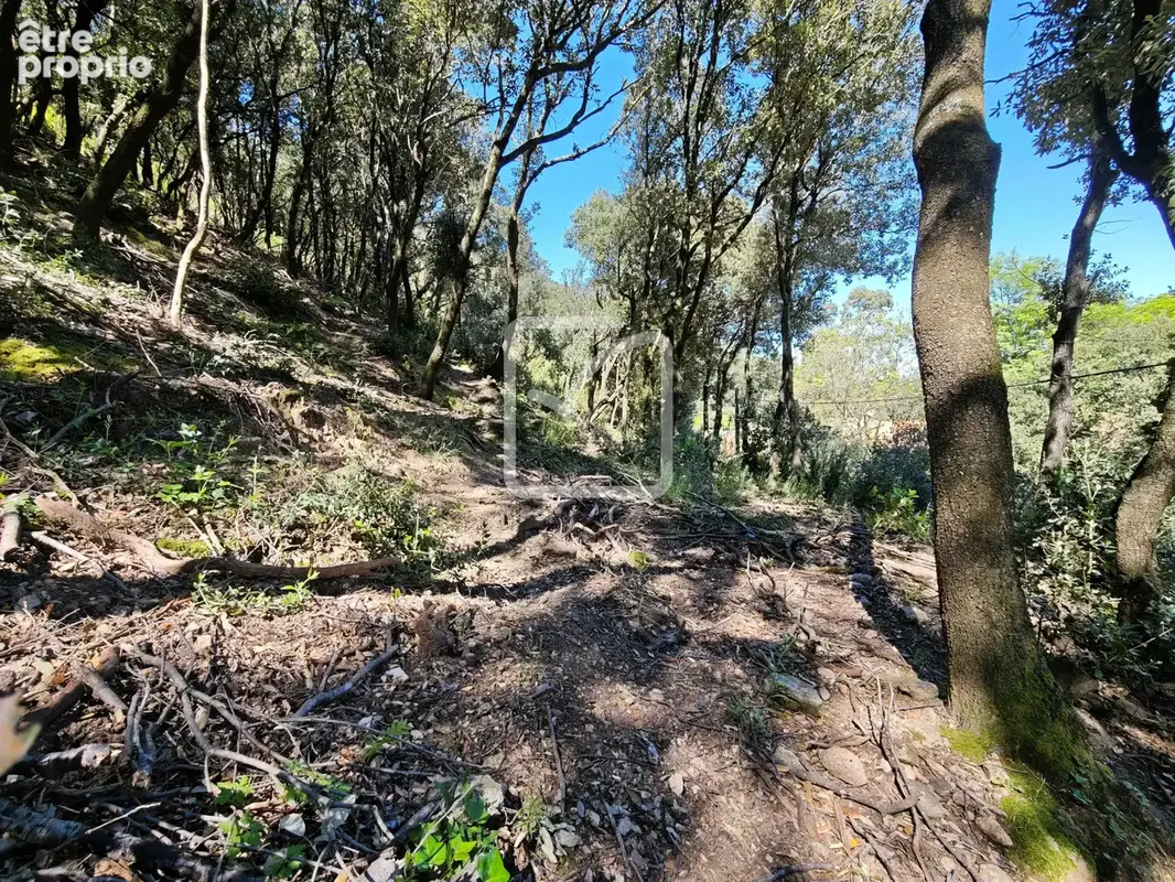 Beau et grand terrain constructible environnement nature! - photo 9