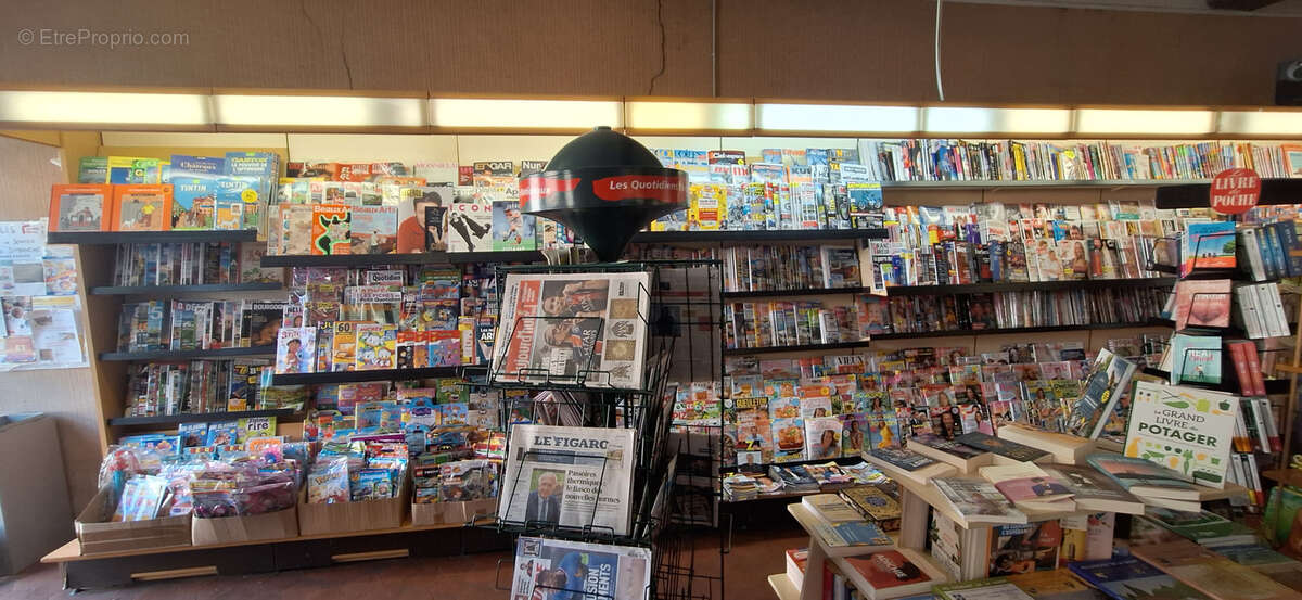 Commerce à VILLENEUVE-L'ARCHEVEQUE