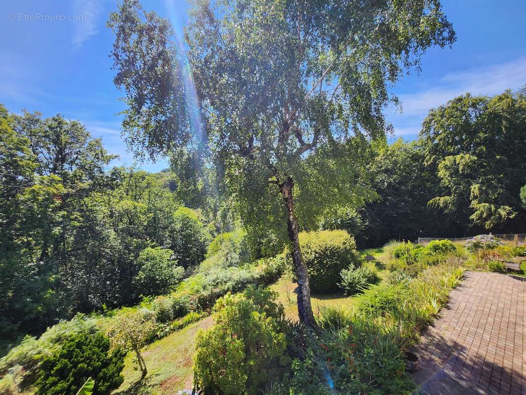 Maison à SAINT-SYLVESTRE