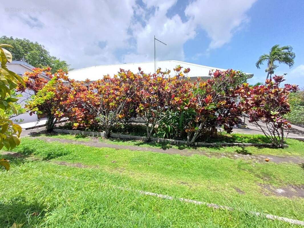 Maison à SAINT-PIERRE