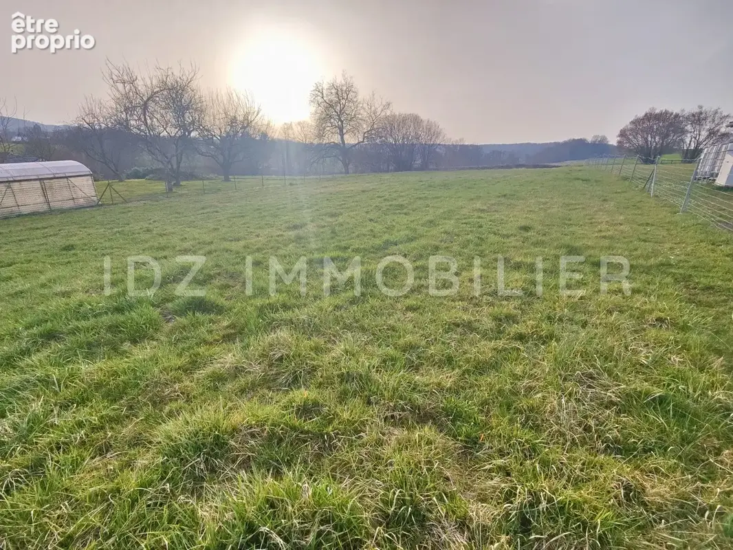 Maison 6 pièces 126 m² à vendre à Hagenthal-Le-Bas (68220) - photo 3