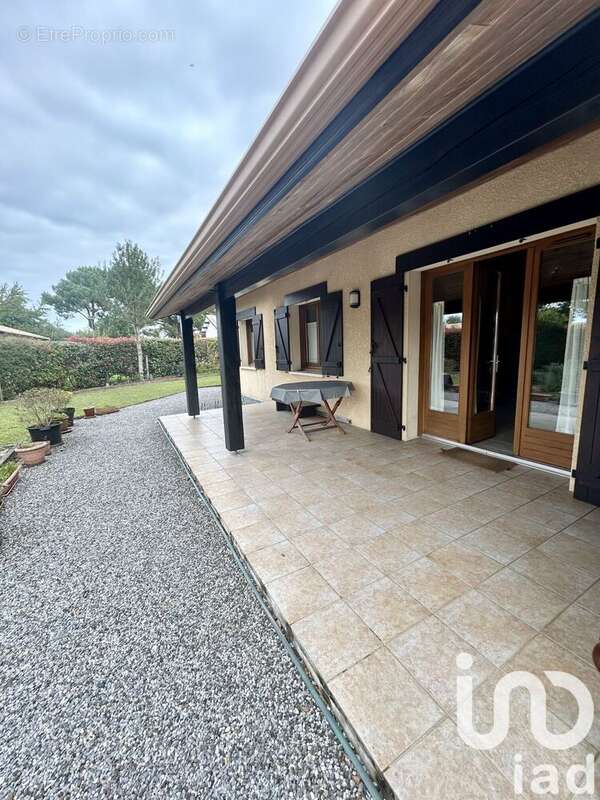 Photo 4 - Maison à TOSSE