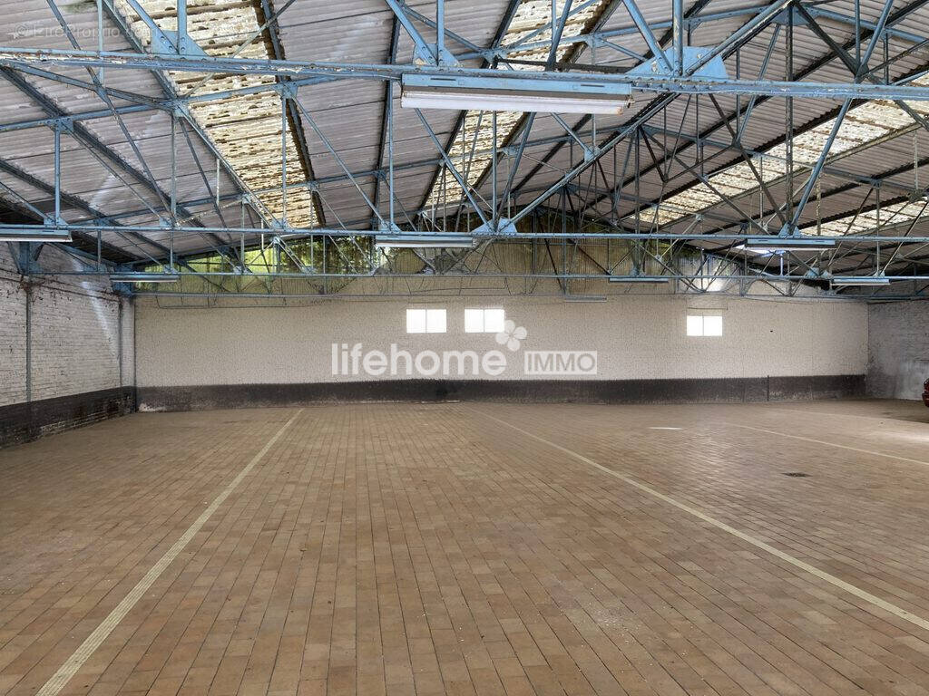 Commerce à SIN-LE-NOBLE