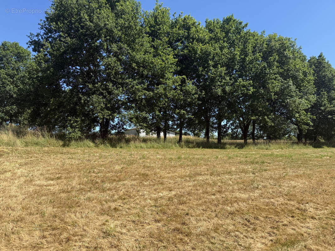 Terrain à BEYSSENAC