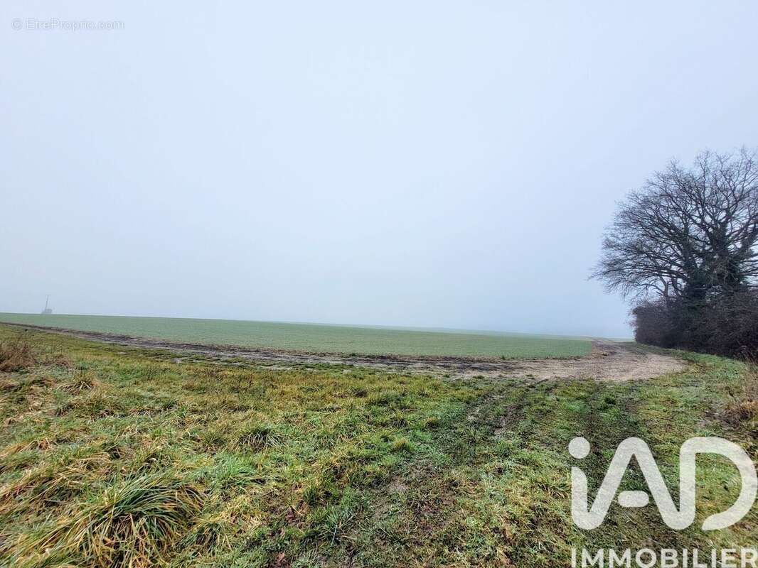 Photo 5 - Terrain à ESTERNAY