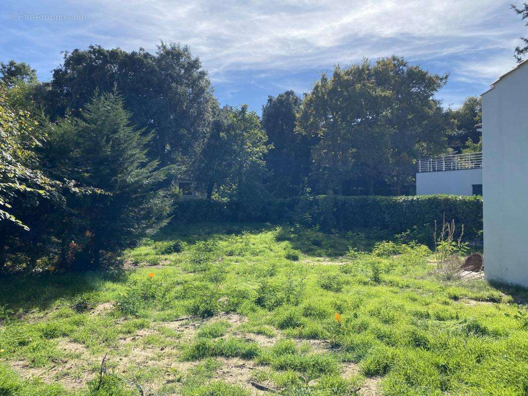 Terrain à LONGEVILLE-SUR-MER