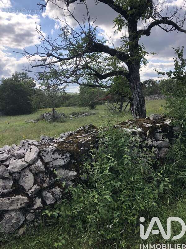 Photo 3 - Terrain à CORN