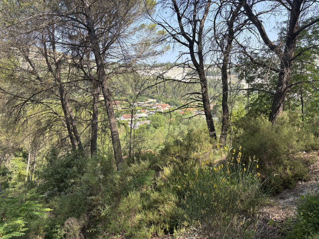 Terrain à PEILLE