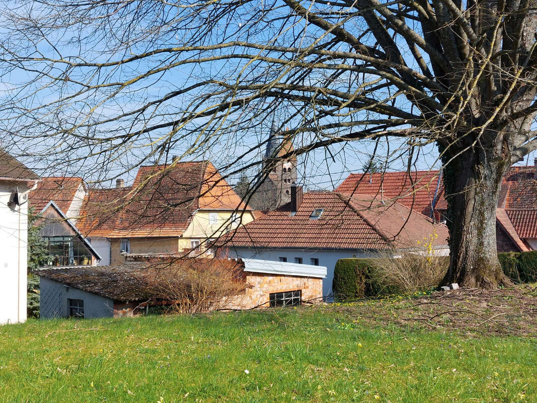 Maison à WISSEMBOURG