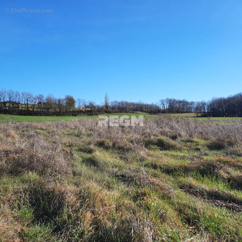 Terrain à SAINT-JEAN-DE-DURAS