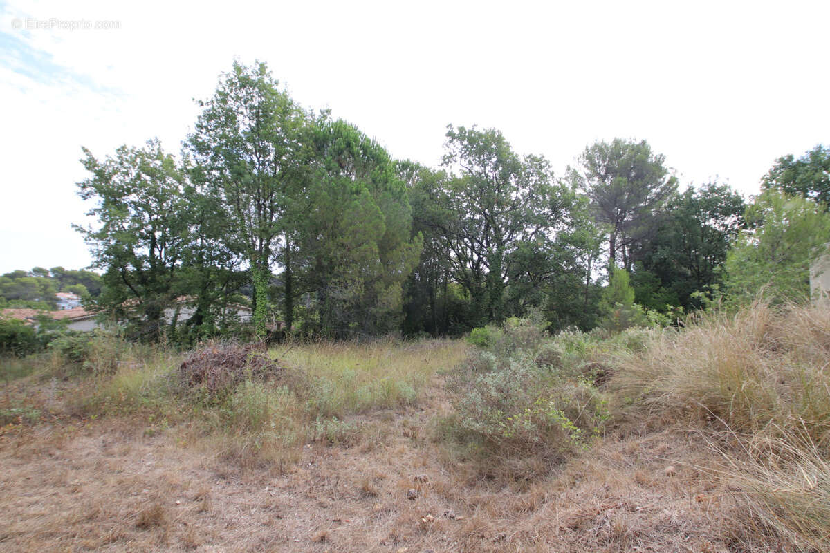 Terrain à SAINT-PAUL