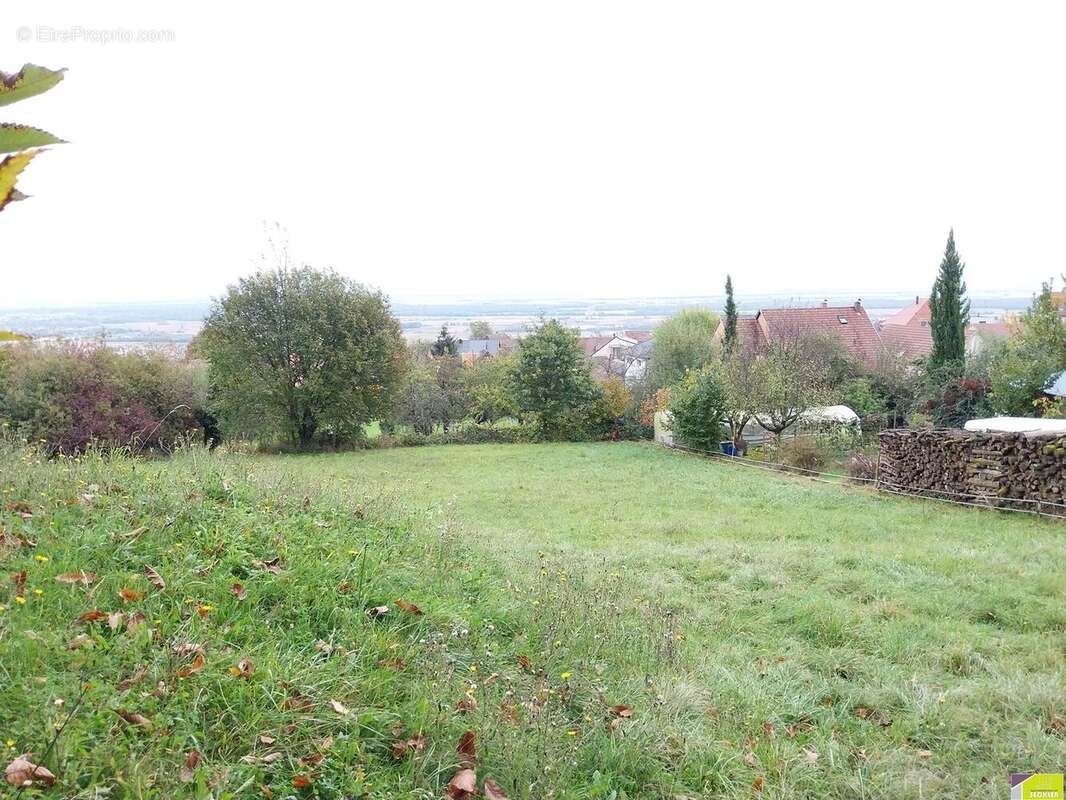 Terrain à HUSSEREN-LES-CHATEAUX