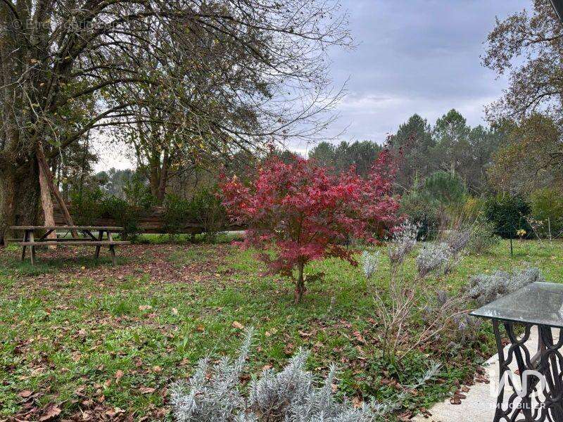 Photo 2 - Maison à MAGESCQ