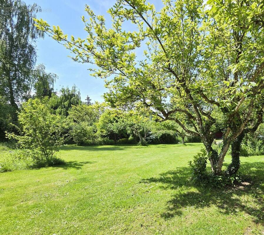 Photo 1 - Terrain à VIUZ-LA-CHIESAZ