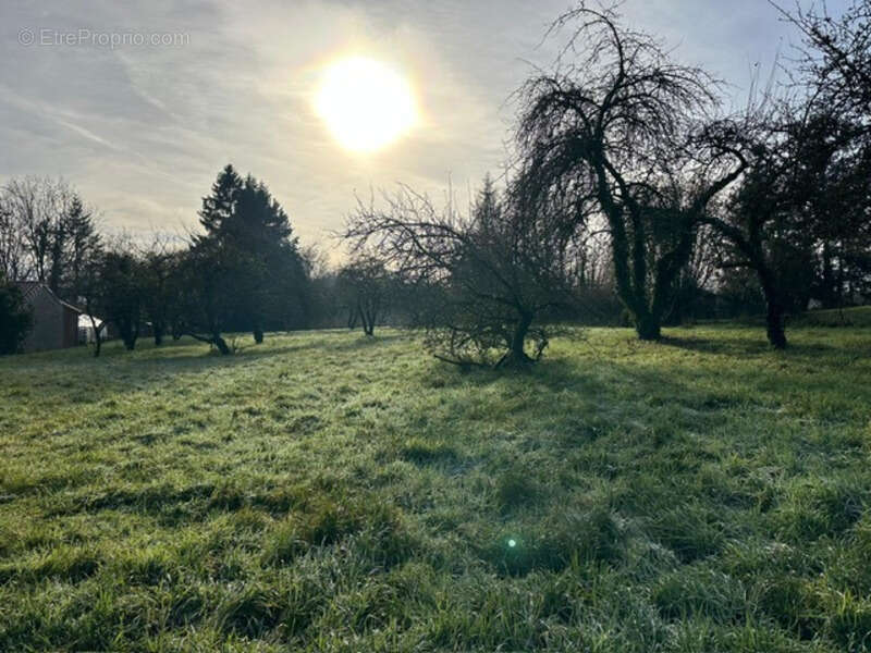 Terrain à LES ETANGS