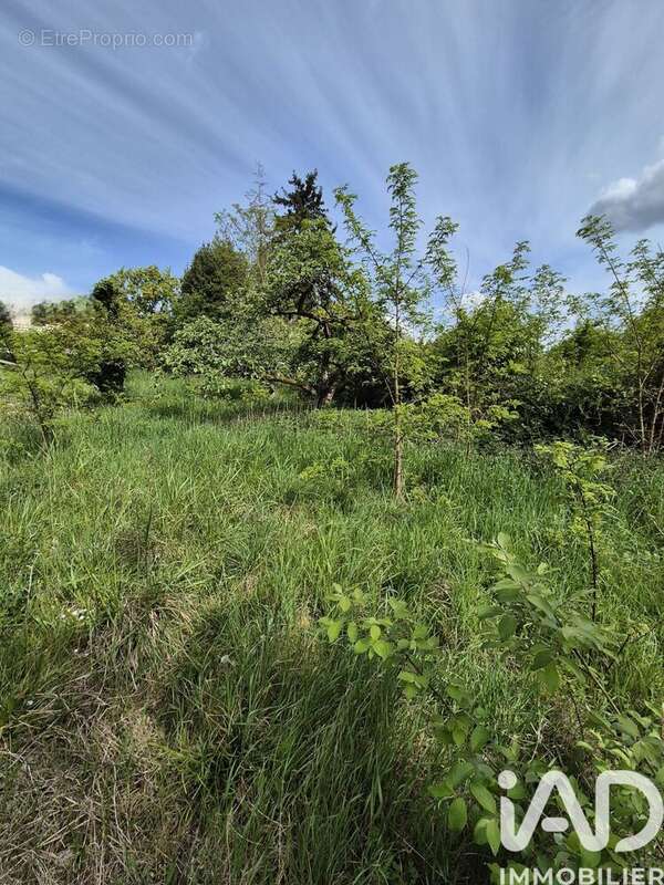 Photo 1 - Terrain à MONTHYON