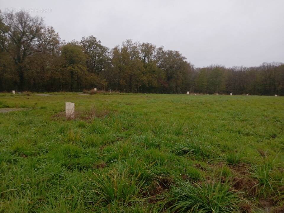 Terrain à SAINT-GENES-DE-LOMBAUD