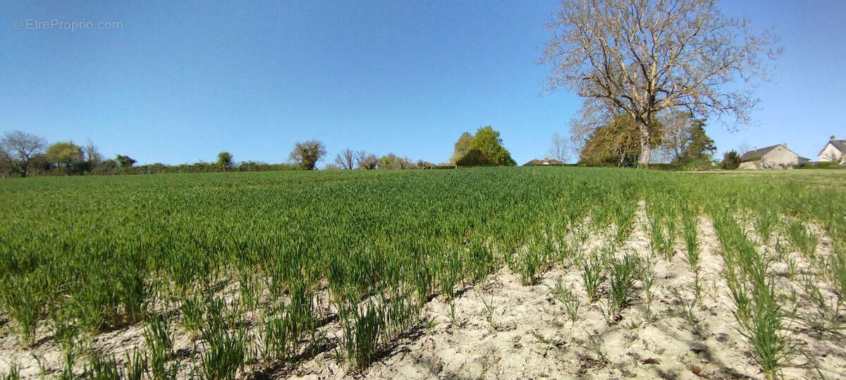 Terrain à MARTIZAY