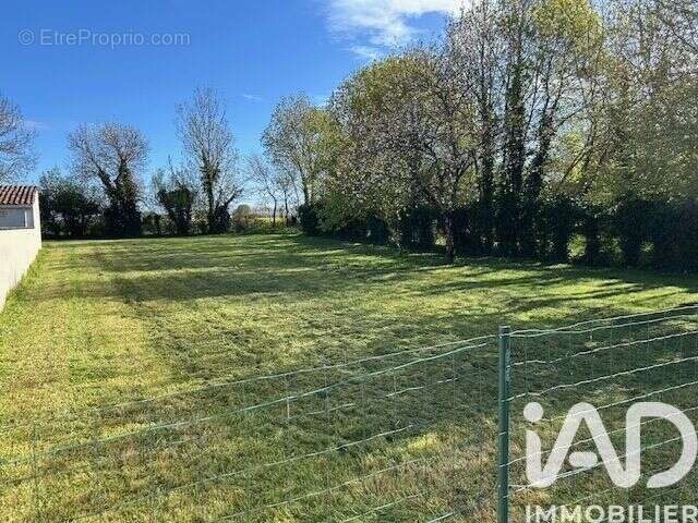 Terrain 975 m² à Les Fosses  - photo 3