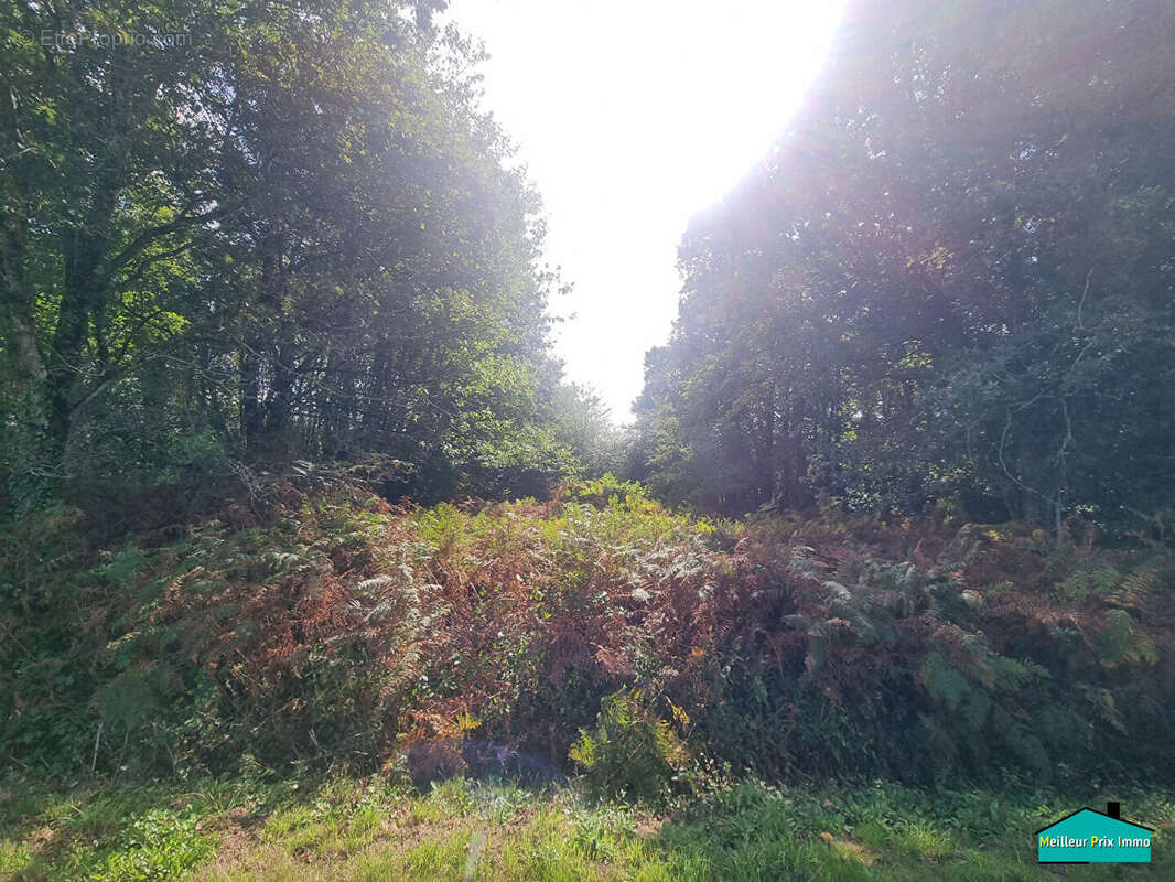 Terrain à LA GARNACHE