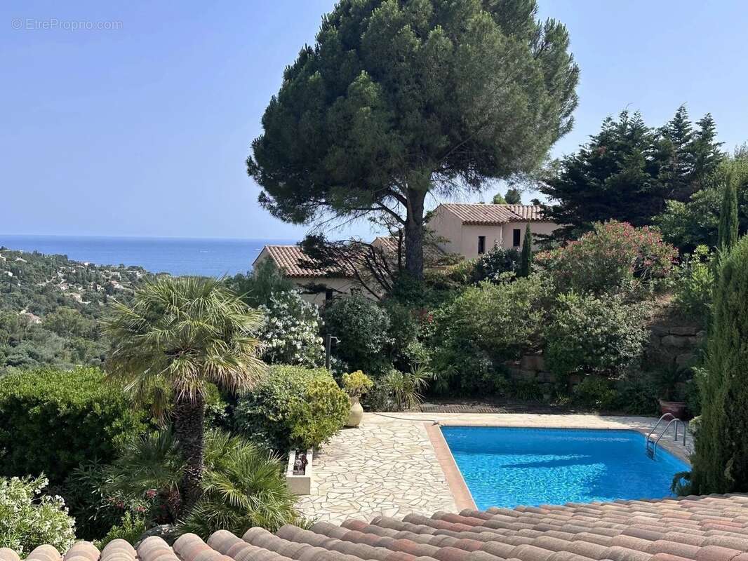 Maison à ROQUEBRUNE-SUR-ARGENS