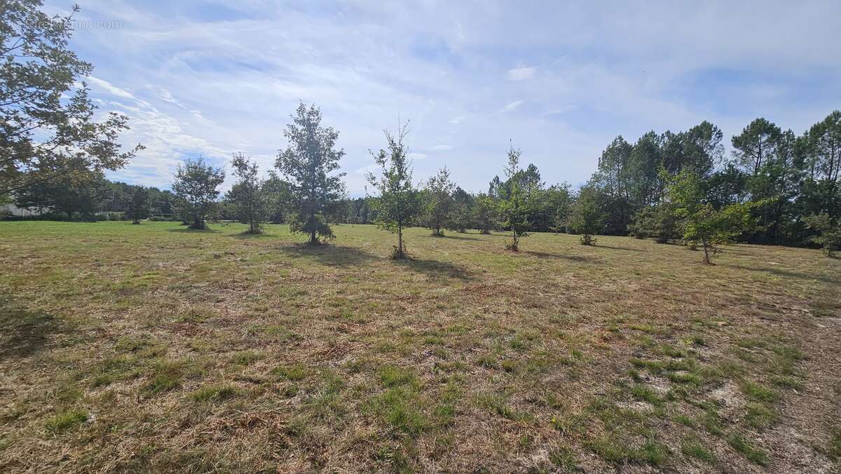 Photo-2023/101042-1-4 - Terrain à CACHEN